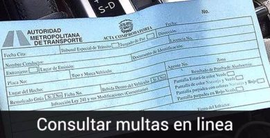 Consultar multa amet